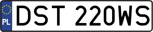 DST220WS