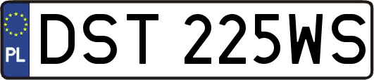 DST225WS