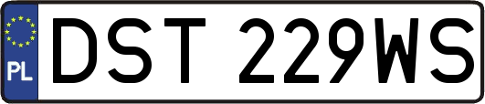 DST229WS