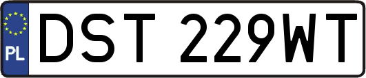 DST229WT