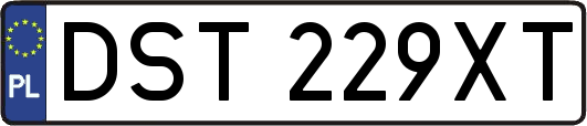 DST229XT