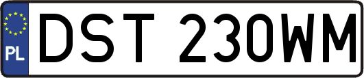 DST230WM