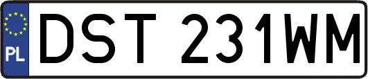 DST231WM