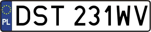 DST231WV