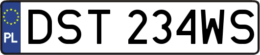 DST234WS