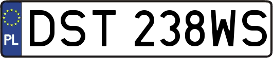 DST238WS