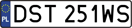 DST251WS