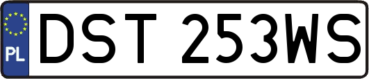 DST253WS