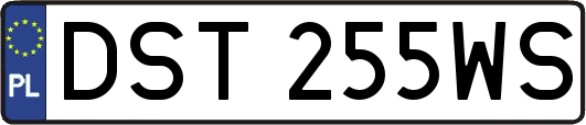 DST255WS