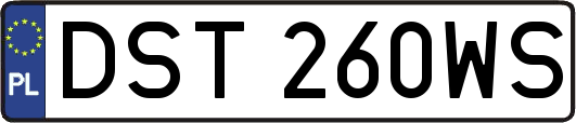 DST260WS