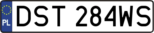 DST284WS