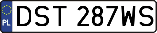 DST287WS