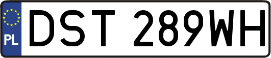 DST289WH