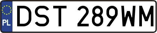 DST289WM