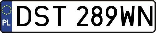 DST289WN