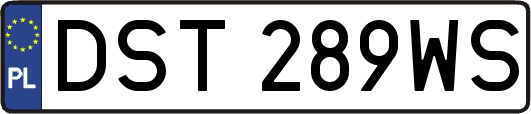 DST289WS