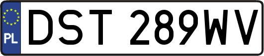DST289WV