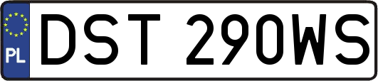 DST290WS