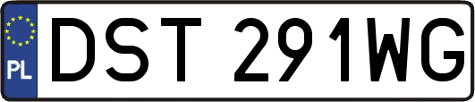 DST291WG