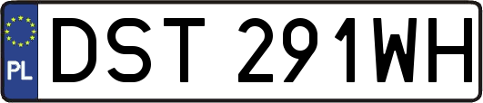 DST291WH
