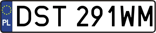 DST291WM