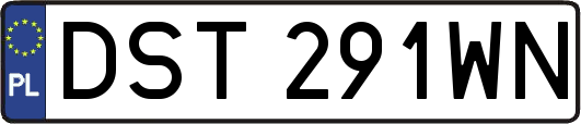 DST291WN