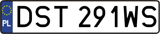 DST291WS