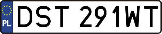 DST291WT