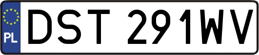DST291WV