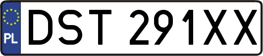 DST291XX