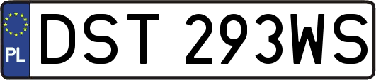 DST293WS