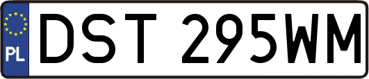 DST295WM