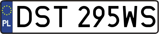 DST295WS