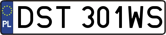 DST301WS