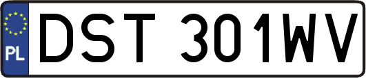 DST301WV