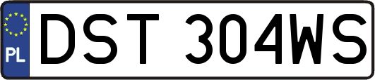 DST304WS