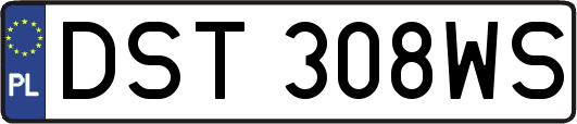 DST308WS