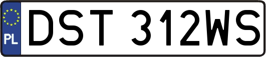 DST312WS