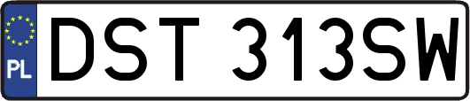 DST313SW