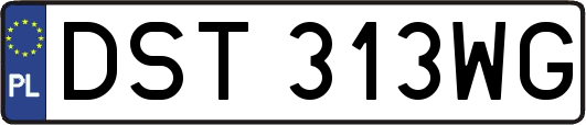 DST313WG