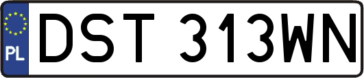 DST313WN
