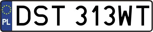 DST313WT