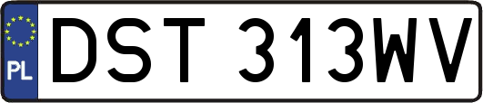 DST313WV