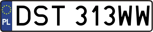 DST313WW
