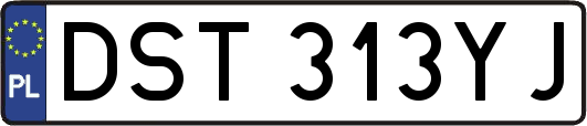 DST313YJ