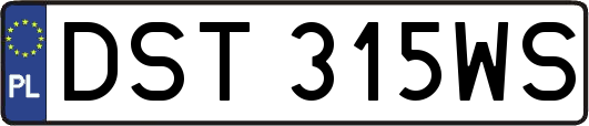 DST315WS