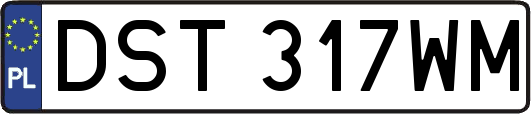 DST317WM