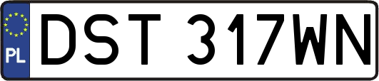 DST317WN