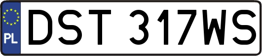 DST317WS