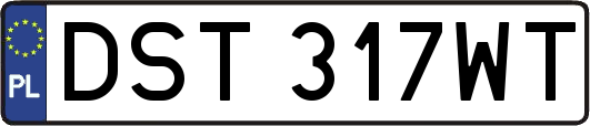 DST317WT
